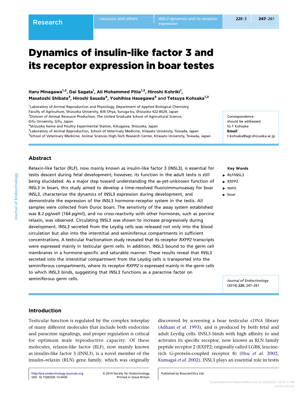 Dynamics of Insulin-Like Factor 3 and Its Receptor Expression in Boar Testes