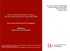 Sistema Institucional De Educación a Distancia De La Universidad Nacional De Río Negro (SIED UNRN)