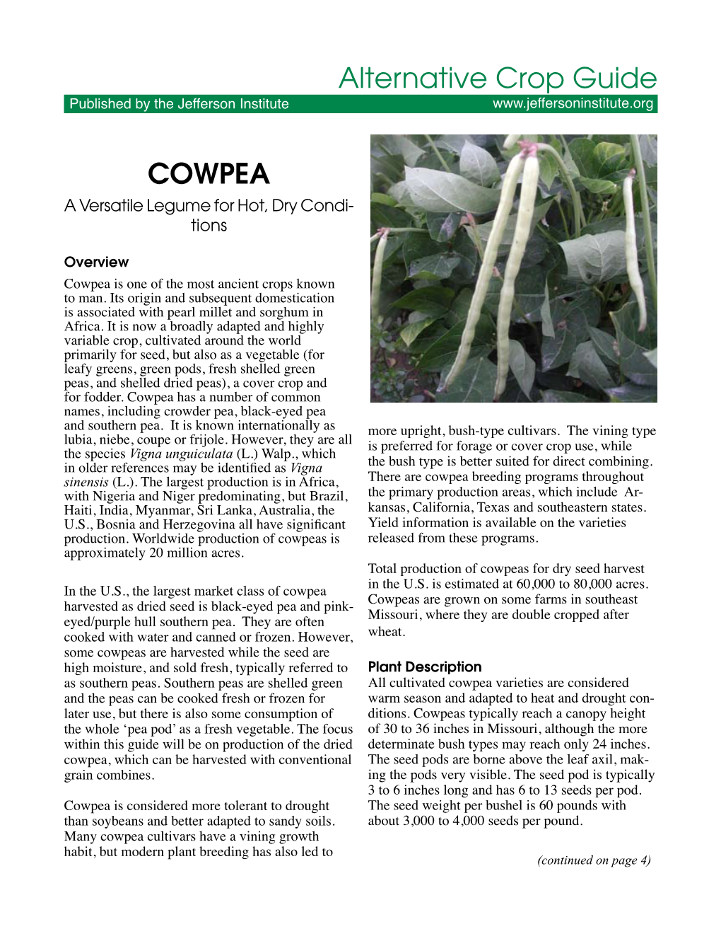 COWPEA Alternative Crop Guide