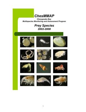 Chesmmap Diet Guide
