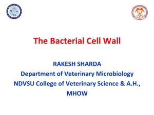 The Bacterial Cell Wall