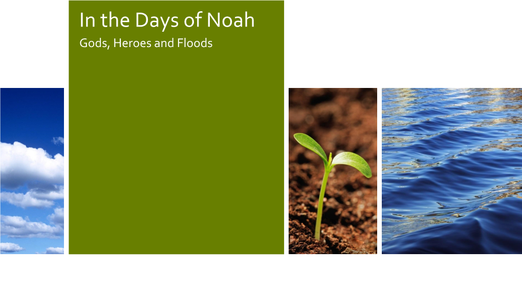 In the Days of Noah