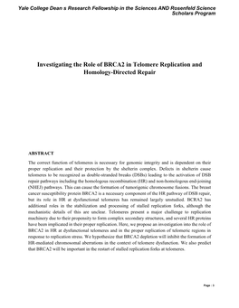 Investigating the Role of BRCA2 in Telomere Replication and Homology-Directed Repair