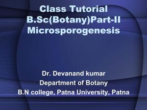 Class Tutorial B.Sc(Botany)Part-II Microsporogenesis