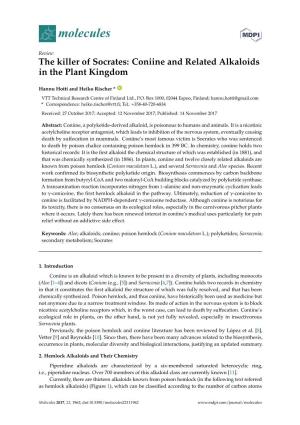 The Killer of Socrates: Coniine and Related Alkaloids in the Plant Kingdom