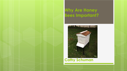 Honey Bee Powerpoint Presentation