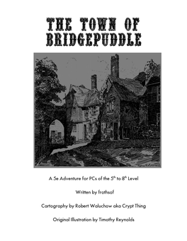 The Town of Bridgepuddle