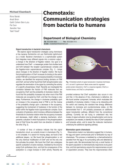 Chemotaxis: Communication Strategies from Bacteria to Humans