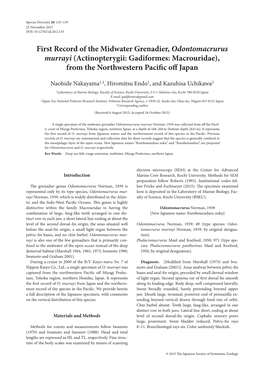 First Record of the Midwater Grenadier, Odontomacrurus Murrayi (Actinopterygii: Gadiformes: Macrouridae), from the Northwestern Pacific Off Japan