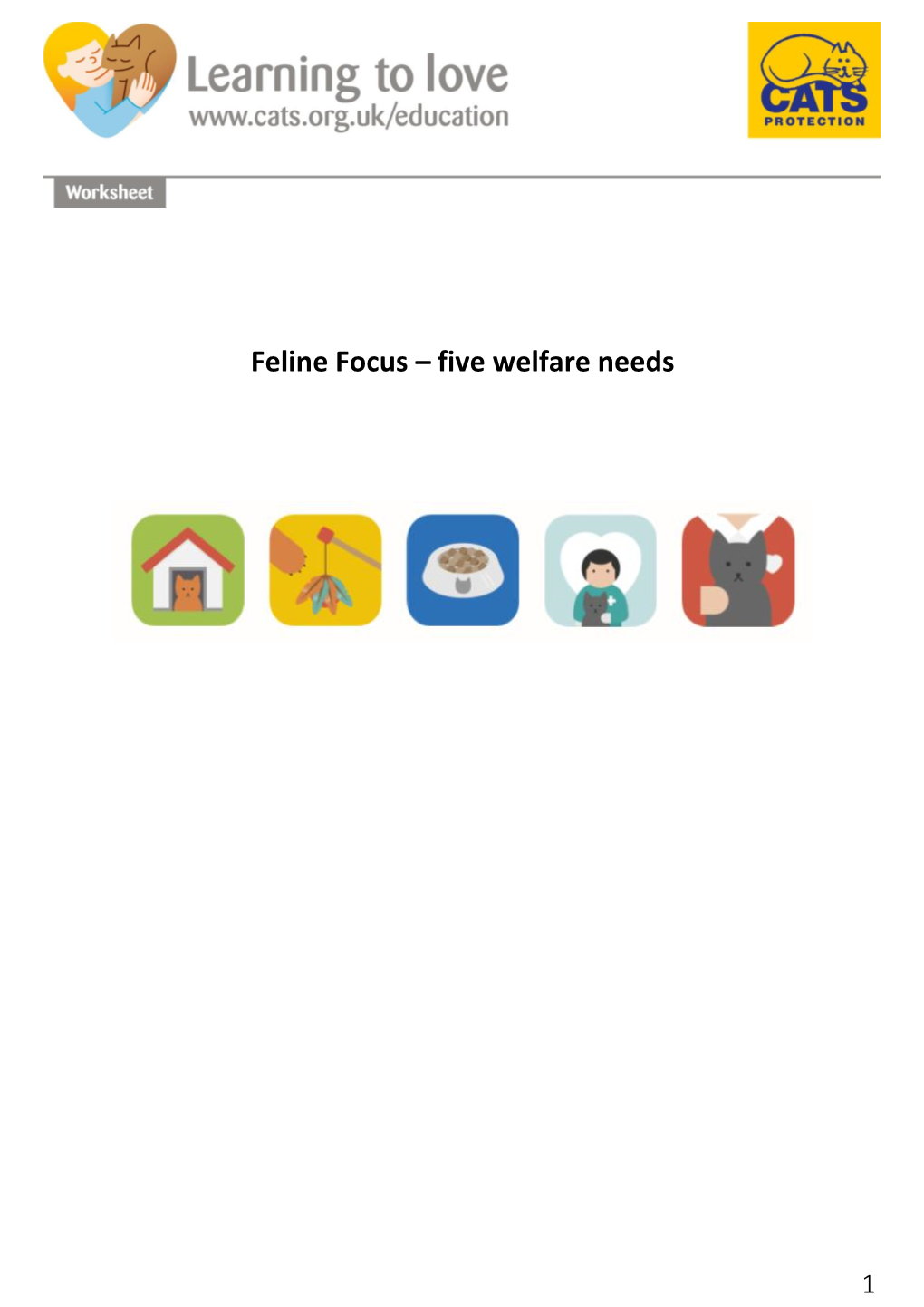 Feline Focus – Five Welfare Needs
