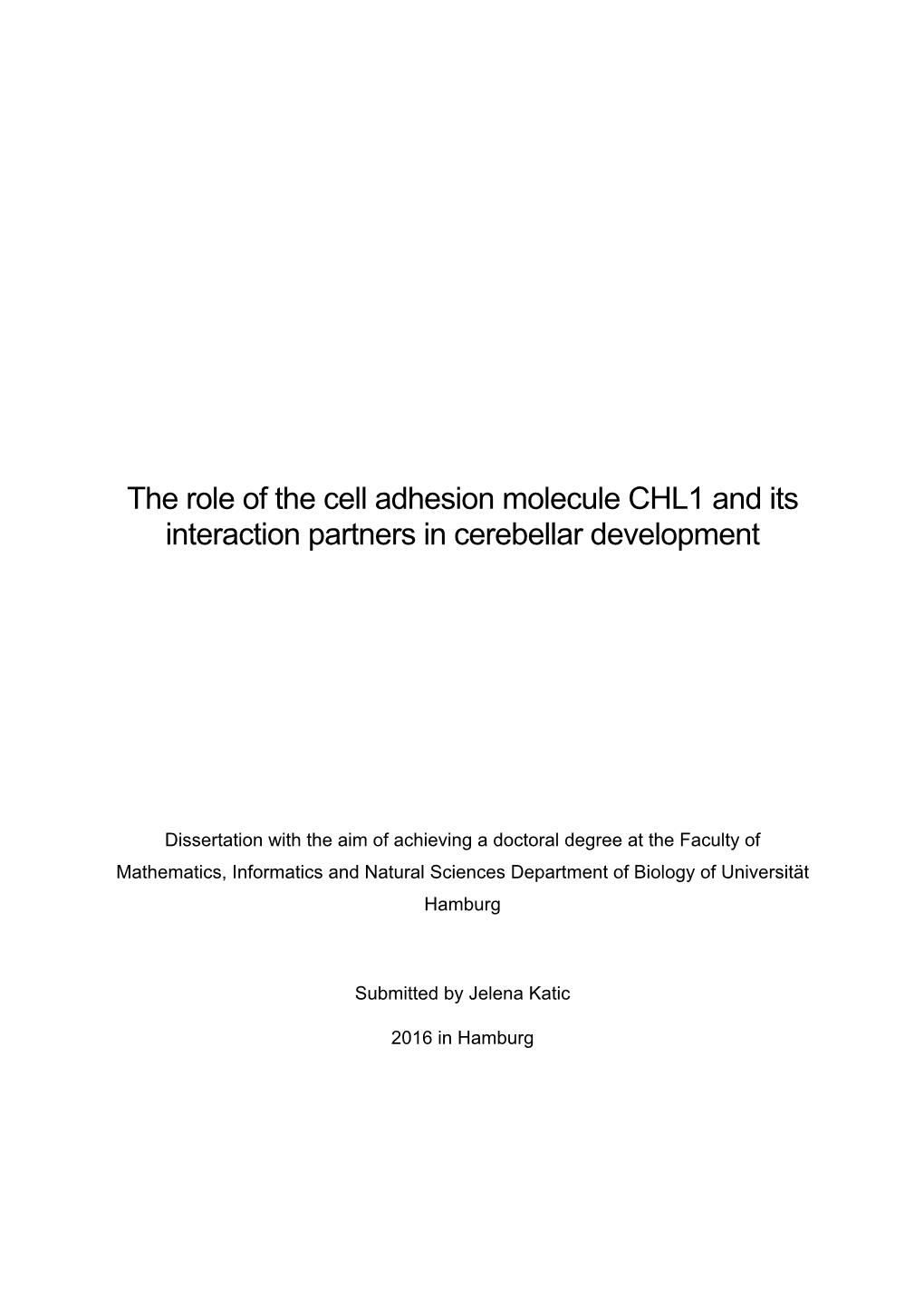 The Role of the Cell Adhesion Molecule CHL1 and Its Interaction Partners in Cerebellar Development