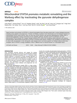Mitochondrial STAT5A Promotes Metabolic Remodeling and the Warburg Effect by Inactivating the Pyruvate Dehydrogenase Complex