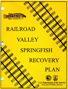 Railroad Valley Springfish Recovery Plan