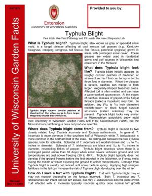 Typhula Blight Paul Koch, UW-Plant Pathology and PJ Liesch, UW Insect Diagnostic Lab