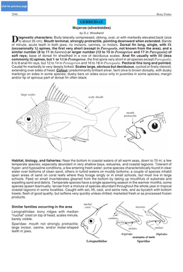 GERREIDAE Mojarras (Silverbiddies) by D.J