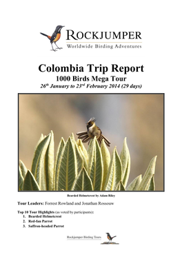 Colombia Trip Report 1000 Birds Mega Tour 26Th January to 23Rd February 2014 (29 Days)
