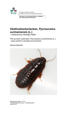 Växthuskackerlackan, Pycnoscelus Surinamensis (L.) – Bekämpning I Känsliga Miljöer