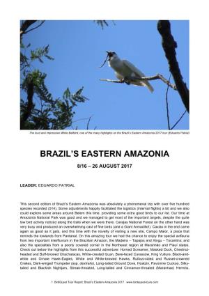 Brazil's Eastern Amazonia