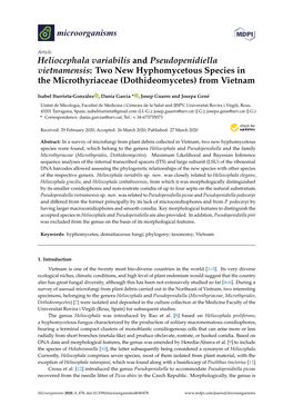 Heliocephala Variabilis and Pseudopenidiella Vietnamensis: Two New Hyphomycetous Species in the Microthyriaceae (Dothideomycetes) from Vietnam
