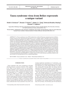 Taura Syndrome Virus from Belize Represents a Unique Variant
