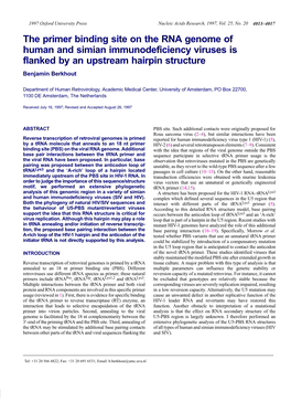 The Primer Binding Site on the RNA Genome of Human and Simian Immunodeficiency Viruses Is Flanked by an Upstream Hairpin Structure Benjamin Berkhout