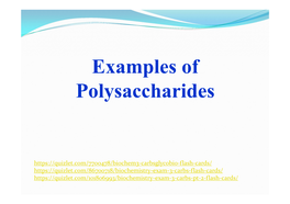 Examples of Polysaccharides