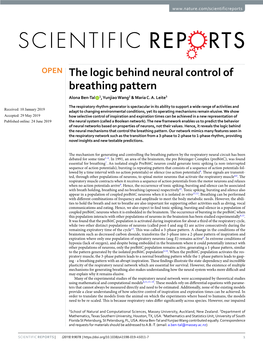 The Logic Behind Neural Control of Breathing Pattern Alona Ben-Tal 1, Yunjiao Wang2 & Maria C