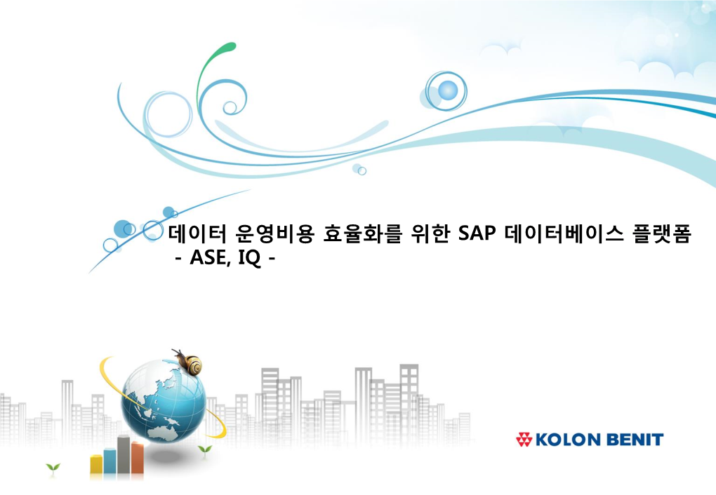 데이터 운영비용 효율화를 위한 SAP 데이터베이스 플랫폼 - ASE, IQ - Ⅰ Ⅱ Ⅲ Ⅳ Ⅰ Adaptive Server Platform Edition 올바른 제품의 선택 Transactions – Reporting – Analysis – Availability - DR