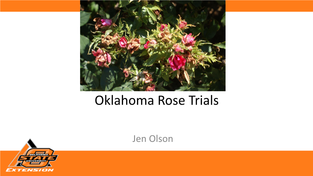 Oklahoma Rose Trials