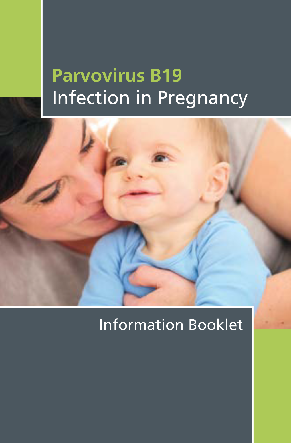 Parvovirus B19 Infection in Pregnancy