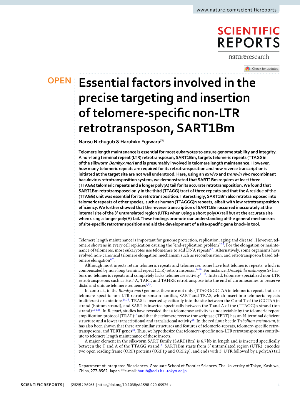 Essential Factors Involved in the Precise Targeting and Insertion of Telomere-Specifc Non-LTR Retrotransposon, Sart1bm Narisu Nichuguti & Haruhiko Fujiwara✉