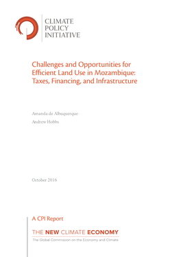 Challenges and Opportunities for Efficient Land Use in Mozambique: Taxes, Financing, and Infrastructure