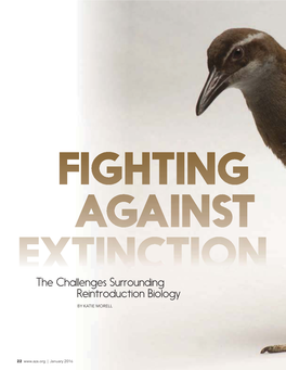 The Challenges Surrounding Reintroduction Biology