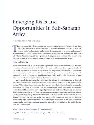 Emerging Risks and Opportunities in Sub-Saharan Africa