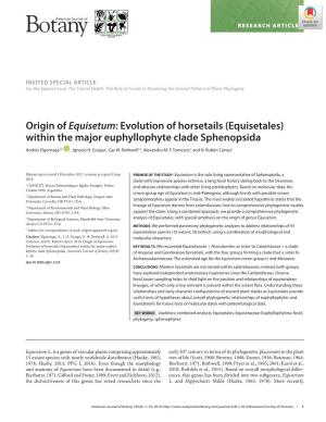 Origin of Equisetum: Evolution of Horsetails (Equisetales) Within the Major Euphyllophyte Clade Sphenopsida