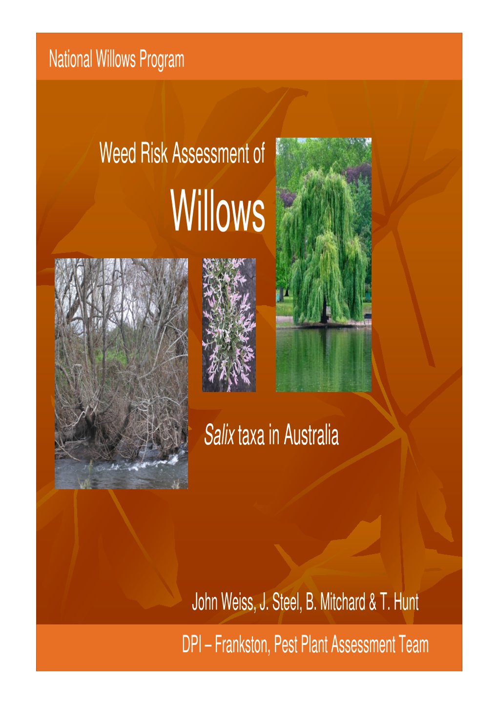 Willows Program