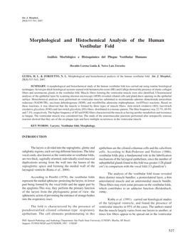 Morphological and Histochemical Analysis of the Human Vestibular Fold