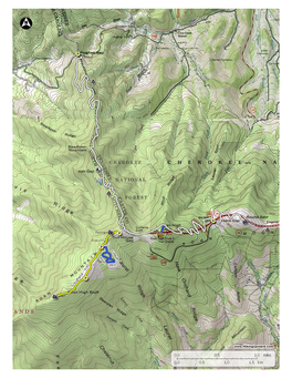 Roan Mountain - Pisgah National Forest, NC