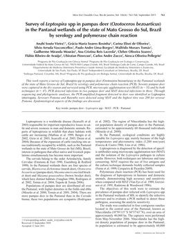 Survey of Leptospira Spp in Pampas Deer