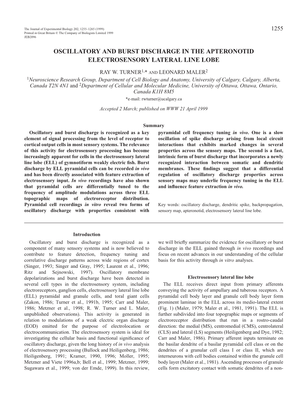 Oscillatory Discharge Across Electrosensory Maps 1257 Changes in EOD Amplitude