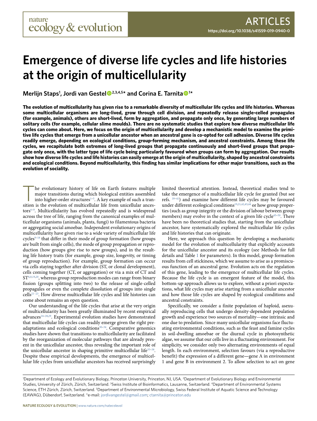 Emergence of Diverse Life Cycles and Life Histories at the Origin of Multicellularity