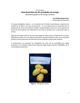 Hoja Divulgativa Guía Ilustrativa De 46 Variedades De Mango Illustrative Guide to 46 Mango Varieties