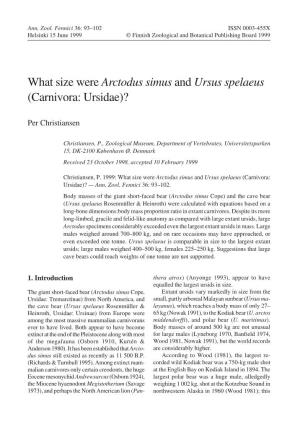 What Size Were Arctodus Simus and Ursus Spelaeus (Carnivora: Ursidae)?