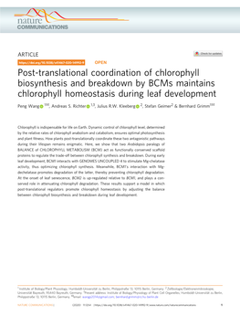 Post-Translational Coordination of Chlorophyll Biosynthesis And
