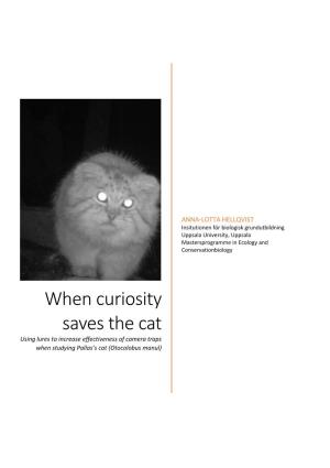 When Curiosity Saves the Cat Using Lures to Increase Effectiveness of Camera Traps When Studying Pallas’S Cat (Otocolobus Manul)