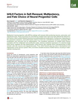 Bhlh Factors in Self-Renewal, Multipotency, and Fate Choice Of