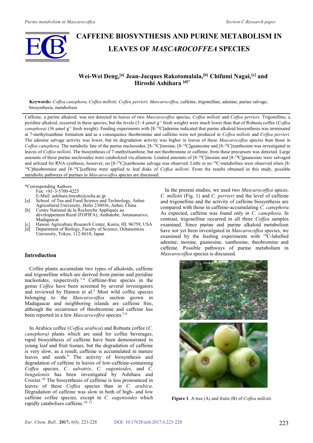 Caffeine Biosynthesis and Purine Metabolism in Leaves of Mascarocoffea Species