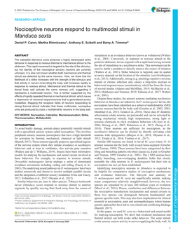 Nociceptive Neurons Respond to Multimodal Stimuli in Manduca Sexta Daniel P