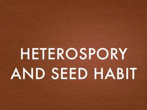 Heterospory and Seed Habit Heterospory