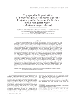 Topographic Organization of Serotonergic Dorsal Raphe Neurons Projecting to the Superior Colliculus in the Mongolian Gerbil (Meriones Unguiculatus)